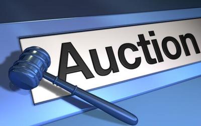 中國(guó)拍賣行業(yè) 業(yè)務(wù)轉(zhuǎn)型的機(jī)遇與挑戰(zhàn)